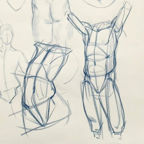 Will Weston Studio! Will Weston, Figure Construction, Male Figure Drawing, Drawing Anatomy, Human Anatomy Drawing, Human Figure Drawing, Human Anatomy Art, Student Drawing, Anatomy Sketches