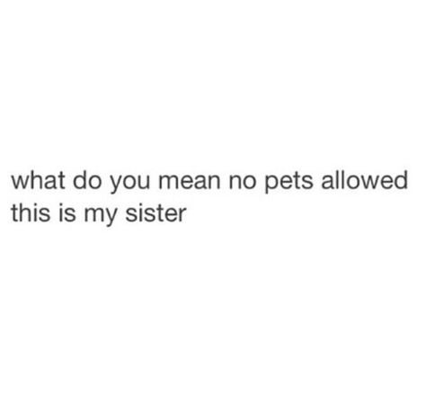 Image via We Heart It #funny #lol #pets #quote #sister Captions For Sisters Funny, Annoying Sister Quotes Funny, Annoying Sister Quotes, Funny Instagram Captions Memes, Quotes Aesthetic For Sisters, Sister Funny Captions For Instagram, Sis Captions For Instagram, Funny Insta Quotes, Funny Bio Quotes Instagram