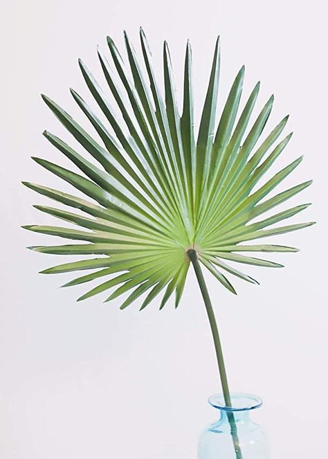 Amazon.com: Artificial Fan Palm Leaf - 30": Home & Kitchen Fan Palm Leaf, Tropical Wedding Centerpieces, Artificial Palm Leaves, Orchid Leaves, Silk Orchids, Statement Decor, Fan Palm, Artificial Plants Outdoor, Palm Plant