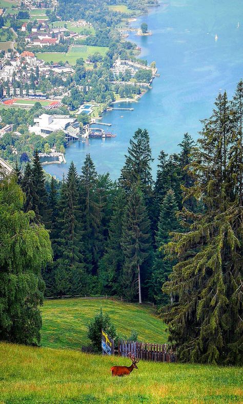 Bregenz Austria, Lake Constance, Theme Nature, Beautiful Landscape Photography, Travel Music, Make Beauty, Bike Trips, Sound Of Music, Amazing Nature