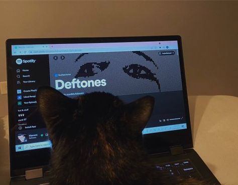 only deftones in this house❤️‍🔥 | isabellatraul | VSCO Deftones Cat, 80s Music Playlist, Deftones Songs, Around The Fur, Lana Del Rey Songs, Cat Watch, Super Rich Kids, Love U So Much, In This House