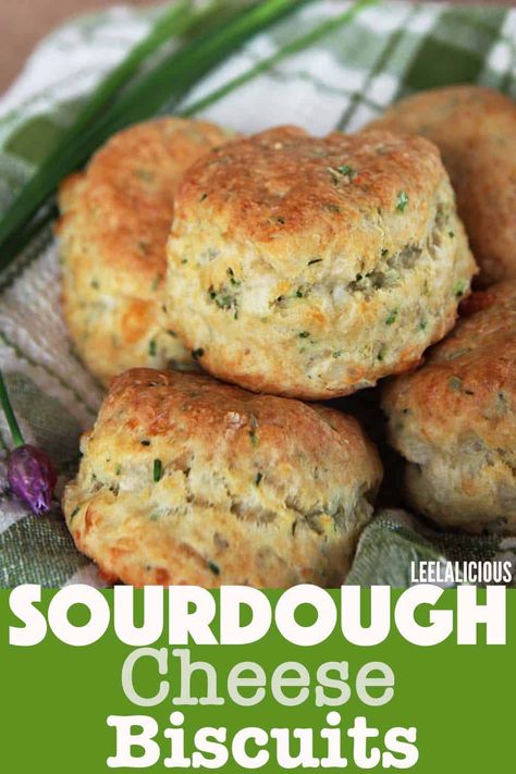 Sourdough Biscuits Recipe, Buttermilk Cheese, Cheese Sourdough, Dough Starter Recipe, Savory Bakes, Sourdough Biscuits, Recipe Using Sourdough Starter, Sourdough Bread Starter, Sourdough Starter Discard Recipe