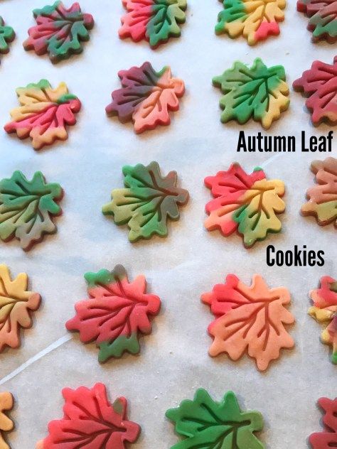 Cookies Autumn, Christmas Spritz, Themed Baking, Biscotti Recipes, Autumn Cookies, Fall Decorated Cookies, Acorn Cookies, Pie Ideas, Colored Cookies