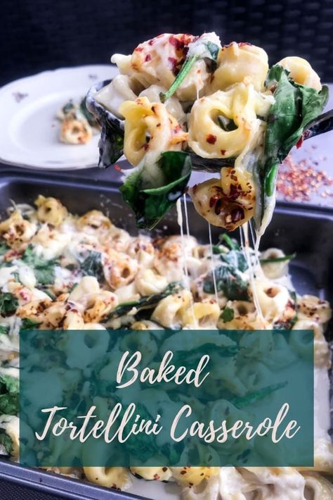 Easy Baked Tortellini, Weeknight Dinner Easy, Pretty Pasta, Baked Tortellini Casserole, Tortellini Casserole, Baked Tortellini, Cheesy Pasta Recipes, Dump And Bake, Cosy Fall