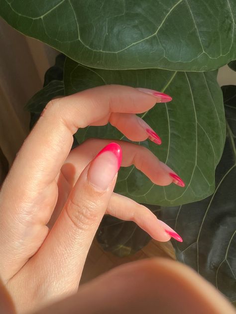 Pink french tip gel nail design nail art framboise raspberry summer aesthetic Raspberry French Tip Nails, Raspberry Nail Art, Raspberry Nails Design, Raspberry Pink Nails, Raspberry Nails, French Tip Gel, Colored French Tips, French Tip Gel Nails, Pink French Tip