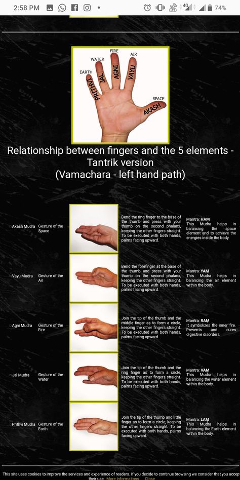 The 5 mudras used to meditate on the 5 elements that constitute our body, Earth, Water, Fire, Air and Space The 5 Elements, Earth Element, 5 Elements, Earth Elements, Yoga Inspiration, Our Body, Meditation, Yoga, Water