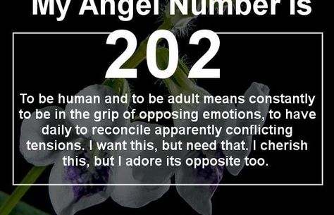 Angel Number 202 and its Meaning 202 Angel Number Meaning, 202 Angel Number, 511 Angel Number, Sacred Numbers, Spiritual Numbers, Angels Numbers, Numerology Compatibility, Angel Number Meaning, Numbers Game