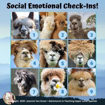 Emotional Activities, First Week Activities, Spanish Coffee, Emotion Chart, Social Emotional Activities, Feelings Chart, Dog Pool, Feeling Used, Interactive Posts