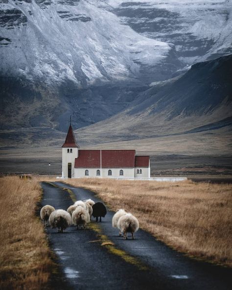 Country Churches, Western Region, Iceland Travel, Reykjavik, Beautiful Mountains, Pretty Places, Nova Scotia, 귀여운 동물, Travel Dreams