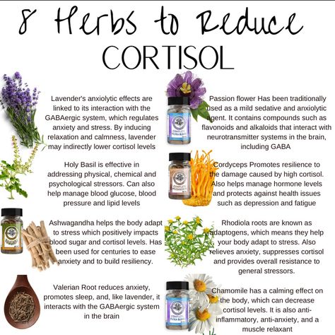 Herbs For Cortisol, Reduce Cortisol, Lower Cortisol, Herbal Education, Medical Herbs, Healthy Hormones, Natural Healing Remedies, Herbal Healing, Home Health Remedies