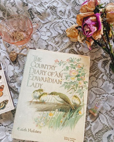 R a c h e l 👒🦋🍯 on Instagram: “The Country Diary of an Edwardian Lady 🌸 — $23 + 📦” The Country Diary Of An Edwardian Lady, Edwardian Books, Edwardian Aesthetic, Diary Of An Edwardian Lady, Country Diary Of An Edwardian Lady, Cottagecore Books, Edith Holden, Annie Dillard, Edwardian Lady