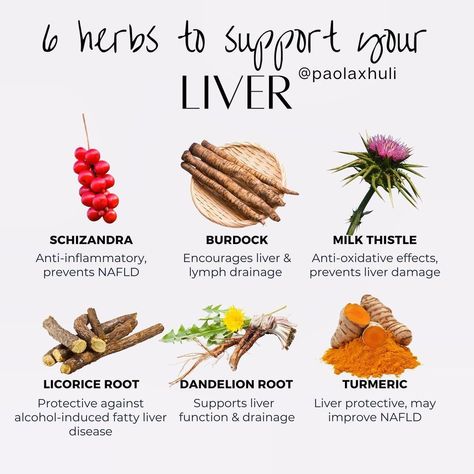 Paola | Detox, Cellular Health & Lifestyle Medicine on Instagram: â€œMy top 6 herbs for liver health! ðŸŒ¿ Iâ€™m big on herbs. Theyâ€™ve transformed my health and my clientsâ€™ health. When used properly theyâ€¦â€ #LiverHealthMatters #HealthyLiverHappyLife #LiverWellness #SupportLiverHealth #LiverDetoxTips #LiverDietIdeas #CleanLiverCleanLife #LiverCareJourney #NourishYourLiver #LiverLovingFoods Herbs For Liver, Intentional Eating, Liver Herbs, Cleansing Foods, Detox Herbs, Lifestyle Medicine, Cellular Health, Liver Detox Diet, Liver Cleansing