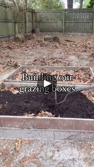 2.3K reactions · 138 shares | Building our grazing boxes. 

What are grazing boxes? When your chicken’s don’t free range and you still want to provide them grass to forge on, grazing boxes help. Why? Because chicken’s scratch up everything they can reach. That’s why our entire chicken area is just dirt and leaves. They tore up all of the grass. Grazing boxes have chicken wire on top of the box to prevent the chickens from scratching the roots out of the grown, but still allows the grass to grow through so they can eat it!

I’ve been wanting some grazing boxes for quite some time. We have been holding onto these old pallet boxes that I’ve used as diy garden boxes in the past. We just filled with leaves to get rid of the height and need for extra dirt. After we added soil, we stapled the chi Inside Chicken Coop, Garden Boxes Diy, Graze Box, Pallet Boxes, Free Range, Old Pallets, Garden Boxes, Chicken Coop, Coop