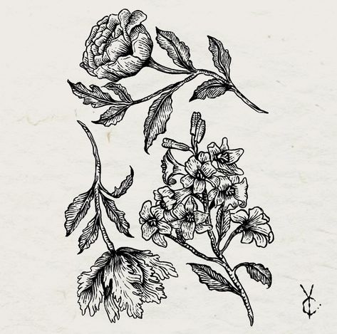 Etching Flower Tattoo, Etching Tattoo Ideas, Vintage Botanical Tattoo, Aa Tattoos, Etching Tattoo, Woodcut Tattoo, Engraving Tattoo, Tattoo Apprenticeship, Engraving Illustration