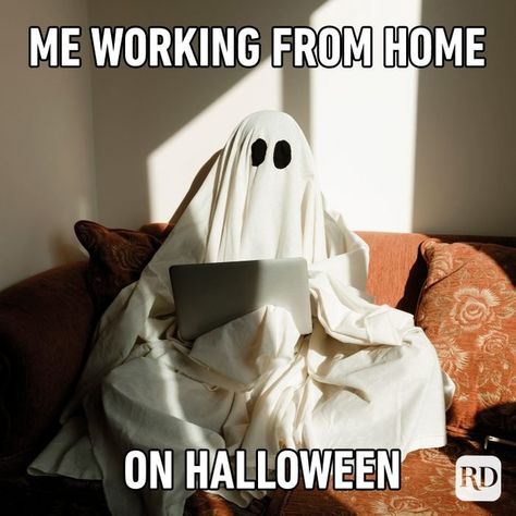 Labor Day Meme, Funny Halloween Pictures, Saturday Memes, Funny Halloween Memes, Halloween Riddles, Saturday Humor, Halloween Puns, Best Halloween Movies, Cheap Halloween Decorations