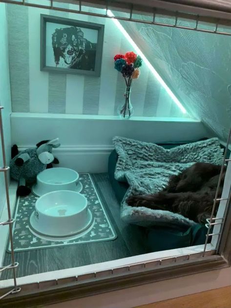 Woman Builds A Cozy Room Under The Stairs For Her Dog And The Pooch Loves It So Much That She Refuses To Leave | Bored Panda Under The Stairs Pet Room, Diy Dog Room Under Stairs, Dog Corner Under Stairs, Pet House Under Stairs, Dog Rooms Under The Stairs, Under The Stairs Cat Room, Dog Room Ideas Under Stairs, Dog Den Under Stairs, Under The Stairs Dog Room