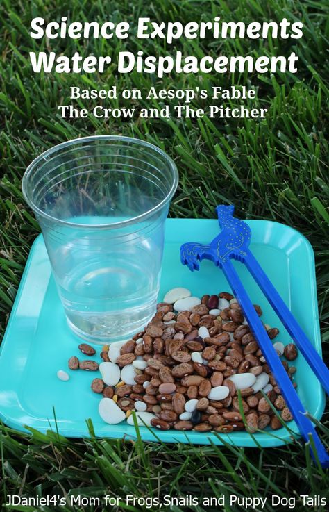 The Crow And The Pitcher, Water Study, Water Displacement, Pitcher Of Water, Pre-k Science, Water Experiments, Early Science, The Fable, Preschool Play