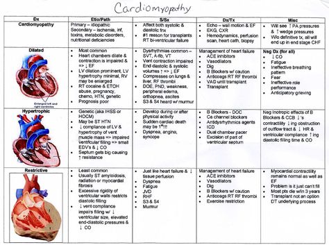 Cardiac Output, Breathing Patterns, Nursing Cheat, Cardiac Nursing, Nursing Pins, Nursing School Survival, Critical Care Nursing, Nurse Rock, Nursing School Studying