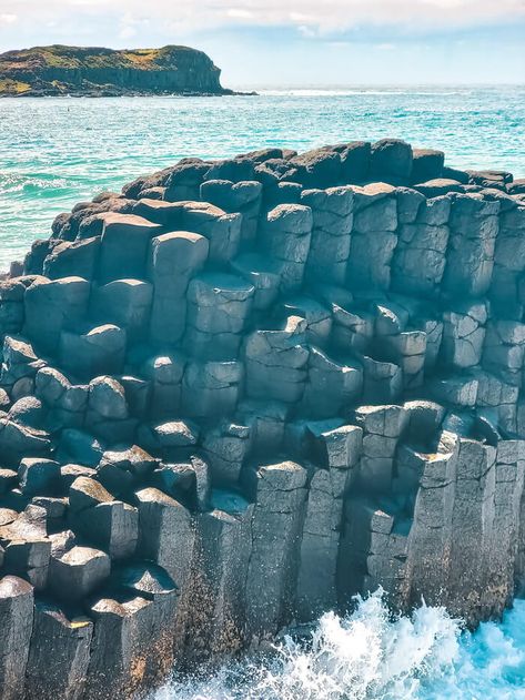 fingal head causeway in australia Olympic Pool, East Coast Australia, Opera House Sydney, Australia Road Trip, Bronte Beach, Giants Causeway, Australia Itinerary, Manly Beach, North Sydney