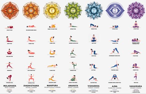 7 Chakras Yoga Poses, Sacral Chakra Yoga, Hata Yoga, Chakra Healing Meditation, Chakra Health, Yoga Facts, Yoga Inspo, Yoga Lessons, Yoga Poster