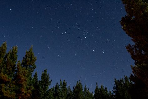 Clear night sky above us just south west of Oberon. This is why we call ourselves a 5 billion star pop up hotel. . . . .  #clearnightsky #avantgardecamping #glampingnsw #wintersky #milkway #outinnature #centralNSW #oberonnsw #pineforest Australian Night Sky, Fallen Destiny, Hounds Of Love, Clear Night Sky, Art Terms, Astral Projection, Night Scenery, Night Landscape, Stars At Night