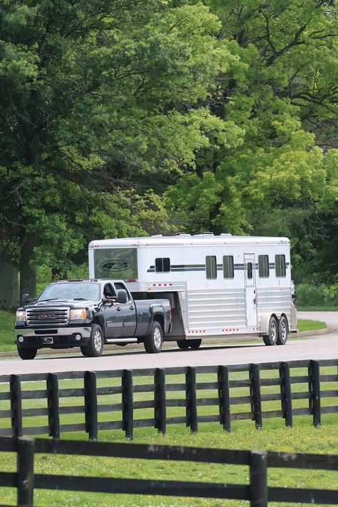 Gas prices are a big yikes right now 😅 That’s especially true for those of us who have to haul horses. But did you know there are some simple steps you can take to improve your gas mileage when towing a horse trailer? Find those tips here #horseillustrated #horsetrailer #horsehauling #gasmileage #gasprices Gooseneck Horse Trailer, Weight Distribution Hitch, Horse Magazine, Four Horses, Trailer Storage, Reining Horses, Gooseneck Trailer, Small Trailer, Fuel Prices