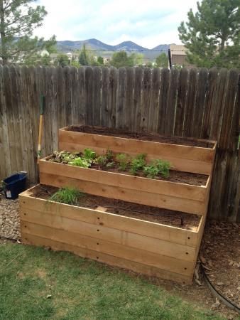 Tiered Garden Boxes, Raised Garden Bed Plans, Cedar Raised Garden Beds, Building Raised Garden Beds, Vegetable Garden Raised Beds, Building A Raised Garden, Garden Planter Boxes, Vertical Herb Garden, Tiered Garden