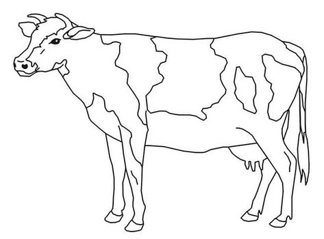 Cows Coloring Pages, Printable Cow, Cow Coloring Pages, Monster Truck Coloring Pages, Elephant Coloring Page, Cow Colour, Animal Templates, Farm Animal Coloring Pages