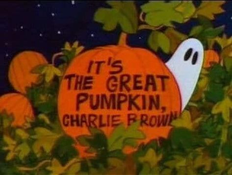 . The Great Pumpkin Charlie Brown, It's The Great Pumpkin Charlie Brown, Great Pumpkin Charlie Brown, It's The Great Pumpkin, Charlie Brown Halloween, The Great Pumpkin, Great Pumpkin, The Boogeyman, Mia 3