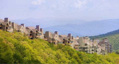 If you've been looking for a mountain vacation, this should be your next destination. Blue Ridge Mountains Virginia, Virginia Vacation, Ideal Family, Blue Ridge Mountain, Virginia Is For Lovers, Mountain Living, Mountain Vacations, Family Getaways, Vacation Resorts