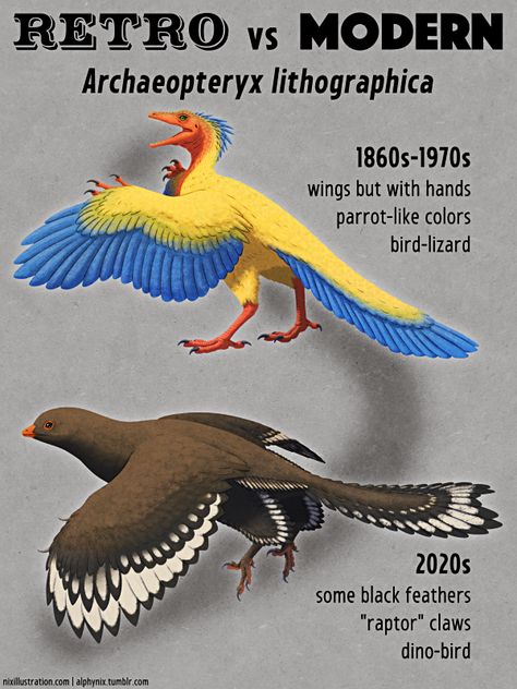 Retro vs Modern #04: Archaeopteryx lithographica... | Nix Draws Stuff Sinosauropteryx Art, Retro Dinosaur, Feathered Raptor, Retro Paleoart, Trex Paleoart, Scientifically Accurate Dinosaurs, Prehistoric Animals Dinosaurs, Speculative Evolution Dinosaurs, Dinosaur Facts