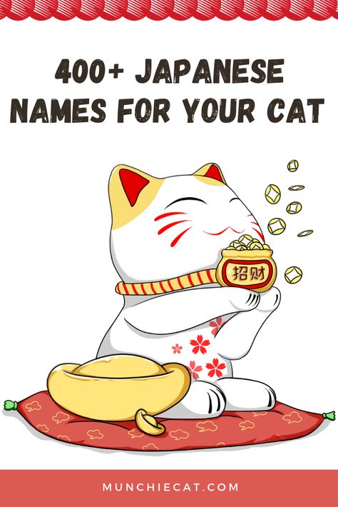 Cute Japanese Pet Names, Cute Names In Japanese, Japanese Names For Cats, Japanese Cat Names, Cat In Japanese, Animals Name List, Japanese Bobtail Cat, Names For Cats, Boy Cat Names