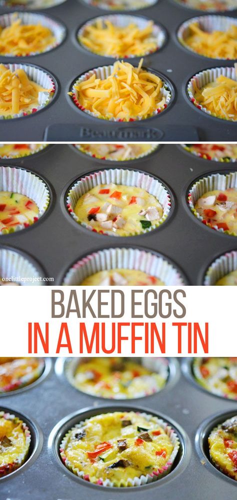 Breakfast Muffin Tin Eggs, Muffin Tin Baked Egg Omelets, Egg Muffin Pan Recipes, Egg Muffin Tins Breakfast, Breakfast In Cupcake Tins, Cook Eggs In Oven Muffin Tins, Eggs In A Muffin Tin Scrambled, Breakfast Casserole In Muffin Cups, Eggs In Cupcake Liners