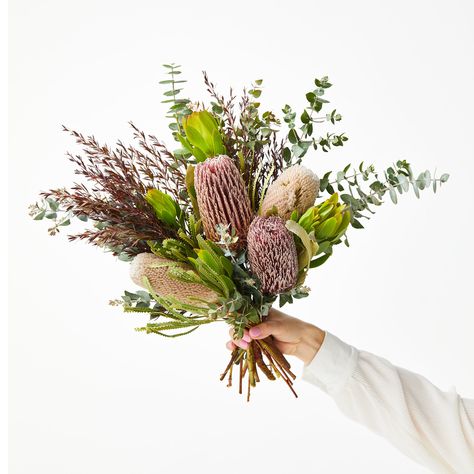 About these blooms Every week our florists work with the growers to source the freshest native flowers, which may include Australian natives such as banksias, wax flowers, thryptomene, billy buttons, wattle and eucalyptus, as well as other non-native wildflowers like leucadendrons and proteas, depending on the season. Natives are a hardy bunch and typically last two to three times as long as traditional bouquets. A perfect choice for all flower gifting occasions, big and small, including birthda Get Well Soon Flowers, Posy Flower, Congratulations Flowers, Tiny Christmas Trees, Letterbox Flowers, Graduation Flowers, Sunflowers And Roses, Australian Natives, New Baby Flowers