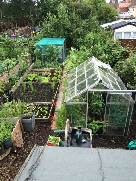 Half Plot Allotment, Allotment Layout, Allotment Greenhouse, Eatable Garden, Allotment Shed, Allotment Garden, Food Forest Garden, Dream Backyard Garden, Allotment Gardening