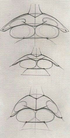 Draw Lips, Mouth Drawing, 얼굴 드로잉, Eye Drawing Tutorials, Drawing Tutorial Face, 얼굴 그리기, Anatomy Sketches, Drawing Studies, Lips Drawing
