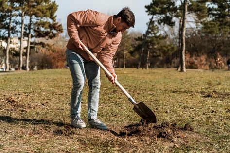 Planting A Tree, Shovel, Side View, Free Photo, A Tree, Trees To Plant, Free Photos, Planting, Stock Photos