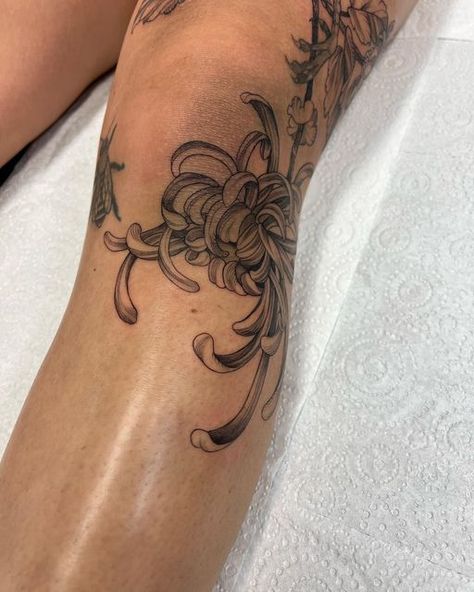 Flower Tattoo Knee Woman, Back Of Thigh Flower Tattoo, Japanese Chrysanthemum Tattoo Sleeve, Chrysanthemum Tattoo Ankle, Different Tattoo Styles On One Arm, Chrysanthemum Knee Tattoo, Chrsanthym Tattoo, Chrisantem Tattoo, Chrysanthemum Tattoo Shoulder