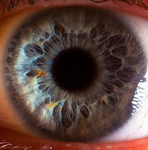 Amazingly Revealing Macro Photos of the Human Eye Macro Photography Eyes, Eye References, Macro Fotografia, Foto Macro, Eye Close Up, Microscopic Images, Behind Blue Eyes, Eye Eye, Year 9