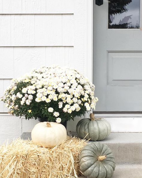 L I N D S A Y on Instagram: “Our neutral autumn decor outside the mudroom door. 🍂 I’m loving sage green pumpkins this year. I also shared all of our outdoor decor in a…” Neutral Autumn Decor, Mudroom Door, Pumpkin Porch Decor, Pumpkin Porch, Green Pumpkins, Neutral Autumn, Autumn Sage, Mudroom Organization, Porch Pumpkins