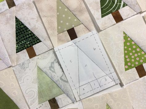 Paper Pieced Quilt