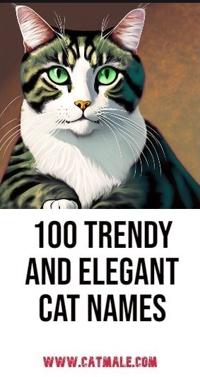 100 Trendy and Elegant Cat Names Taylor Swift Inspired Cat Names, Taylor Swift Pet Names, Hemingway Cats, Drawing Birthday, Unique Cat Names, Warrior Cat Names, Taylor Swift Cat, Cartoons Funny, Cute Cat Names