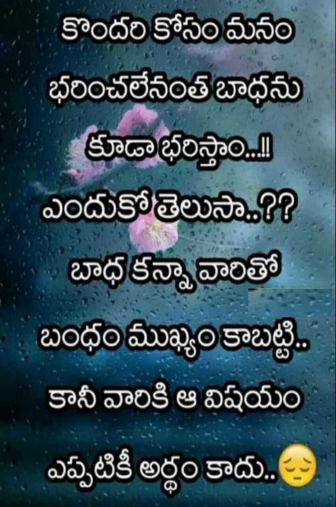 Love Quotes For Him In Telugu, True Love Quotes In Telugu, Life Lesson Quotes In Telugu, Telugu Love Quotes, Life Lessons Quotes Relationships, Love Quotes In Telugu, Quotes In Telugu, Telugu Inspirational Quotes, Afternoon Quotes