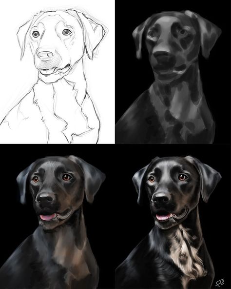 Art with Flo on Instagram: “Dog portrait 🐕 in Procreate The fully narrated 2 hour and 40 min video is available to my patrons at Patreon. . . I used a @shutterstock…” Art With Flo, Digital Art Tutorial Beginner, Portrait Tutorial, Instagram Dog, Animal Portraits Art, Digital Art Beginner, Design Illustrations, Color Book, Instagram Branding