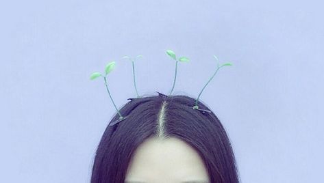 Chinese Jade Hairpin, Puppies And Kittens, Funny Puppies, Plants Growing, Culture Magazine, Hair Trend, Chengdu, Latest Trend, New Trend