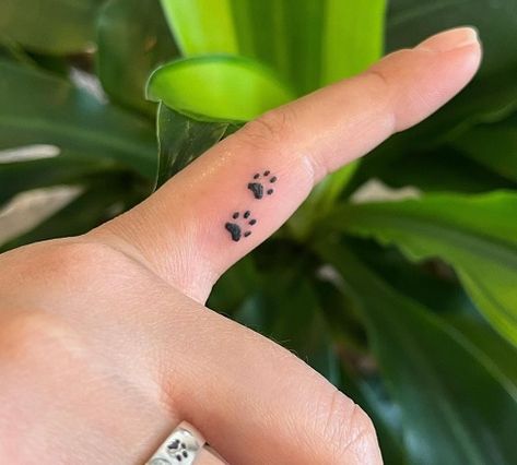 Top 7 Pretty Finger Tattoo Ideas for Women in 2023 Tiny Inner Finger Tattoo, Small Paw Print Tattoo Finger, Finger Tattoos Paw Print, Dog Paw Finger Tattoo, Two Paw Print Tattoo, Paw Print Tattoo On Finger, Finger Tattoos Cat, Small Pawprint Tattoos, Paw Tattoo On Hand