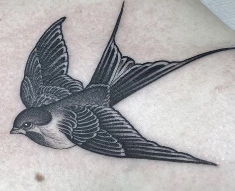 Sparrow Tattoo Blackwork, Blackwork Swallow Tattoo, Sparrows Tattoo, Birds Reference, Sparrow Tattoos, Mockingbird Tattoo, Wheat Tattoo, Trend Tattoo, Robin Tattoo