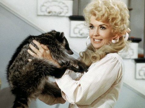 Donna Douglas, the voluptuous Louisiana-born actress who played critter-loving Elly May Clampett on the 1960's CBS series 'The Beverly Hillbillies" died on New Years day 2015. Donna Douglas, Beverly Hillbillies, The Beverly Hillbillies, Ellie Mae, Catherine The Great, Thanks For The Memories, Old Tv Shows, Tv Stars, Television Show