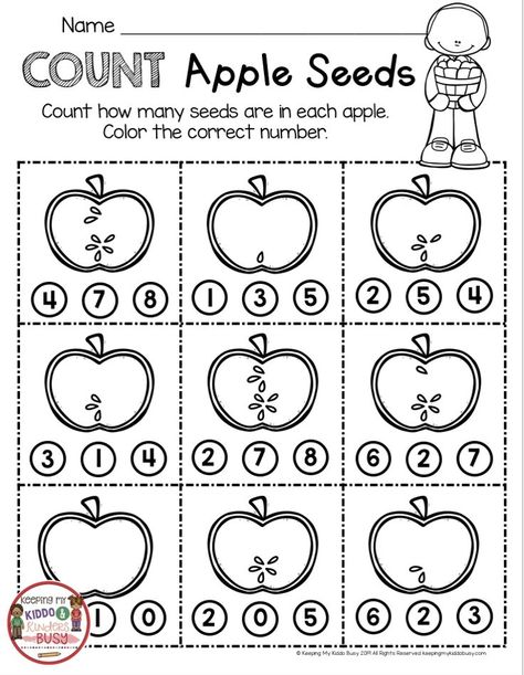 COUNTING APPLES - kindergarten and first grade math worksheet - counting apple seeds - all about apples - first week of kindergarten - apple printables and worksheets #kindergarten #kindergartenmath #apples Small Group Apple Activities, Apple Seed Counting Preschool, Apples Math Activities Preschool, Counting Apples Free Printable, Apple Curriculum Kindergarten, Apples In Kindergarten, Apple Week In Kindergarten, Apple Writing Kindergarten, Apple Tasting Kindergarten