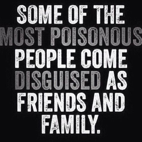 poisonous people - friends family - you? About Fake People, Inspirational Family Quotes, Funny Lines, Fake People Quotes, Fake People, Truth Hurts, People Quotes, Family Quotes, Meaningful Quotes